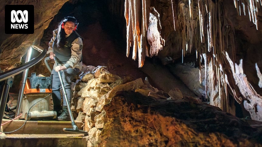 Doing mundane 'housework' in spectacular surroundings: How Tasmania's caves are cleaned