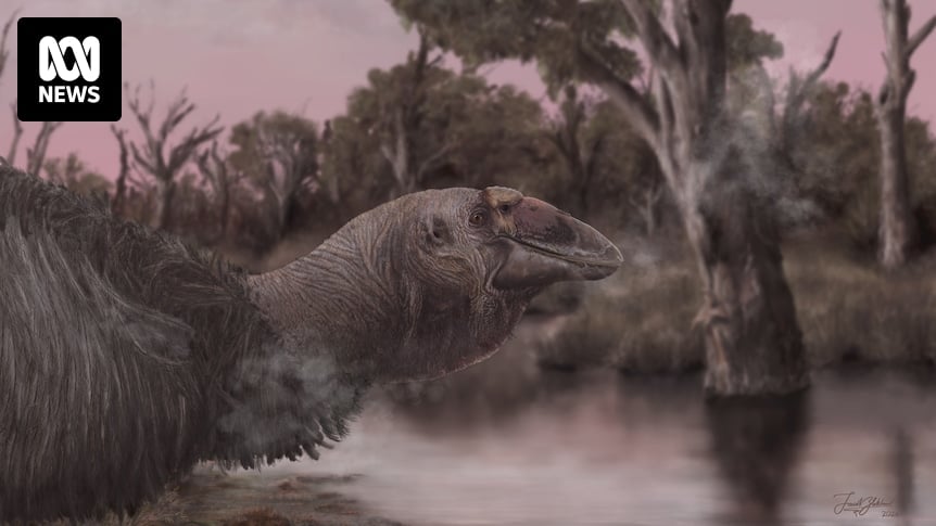 Drawing the 'giga-goose': How to make palaeoart