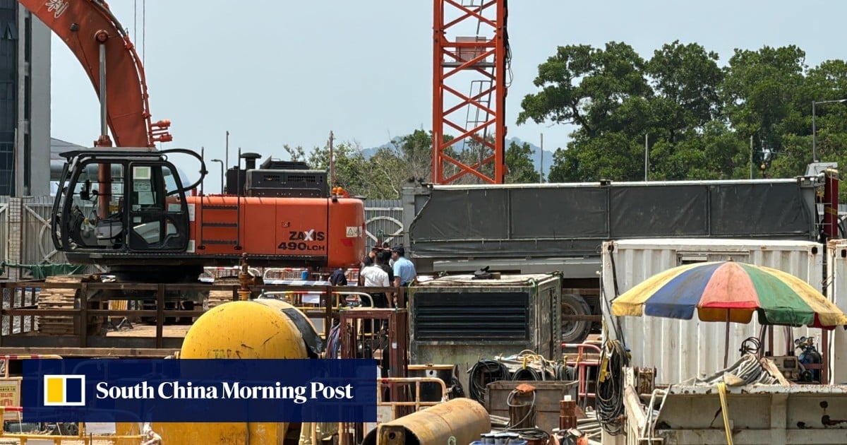 Driver dies after head crushed between dump truck, excavator at Hong Kong construction site