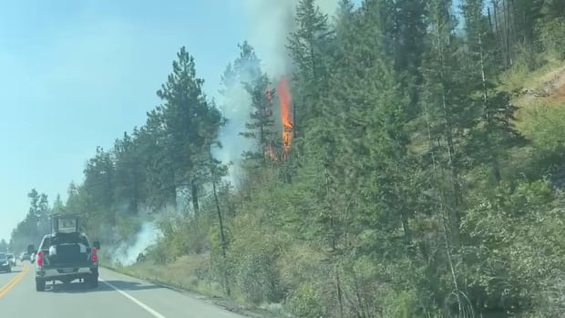 Dry forests 'very receptive to ignition,' B.C. Wildfire Service says, as fires spark provincewide