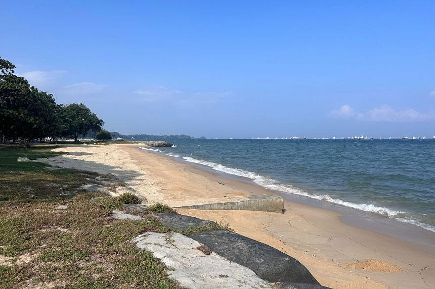 East Coast Park beach section near National Sailing Centre reopens for water sports after oil spill