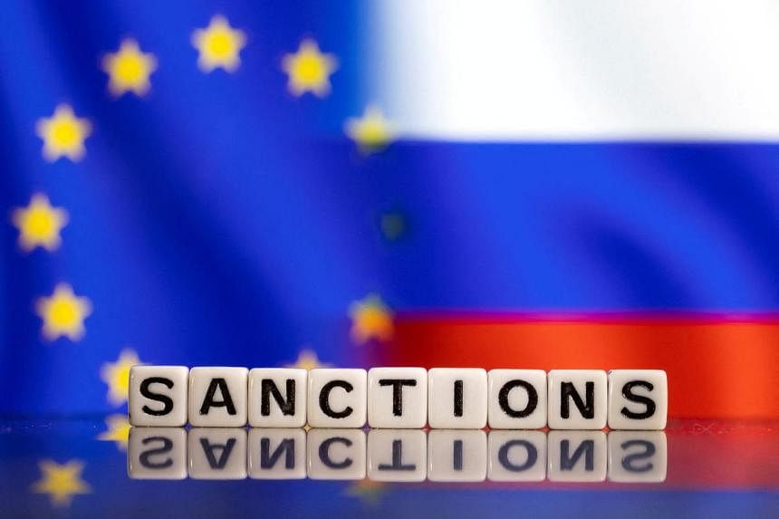 EU countries look to extend freeze on Russian assets to secure G7 loan to Ukraine