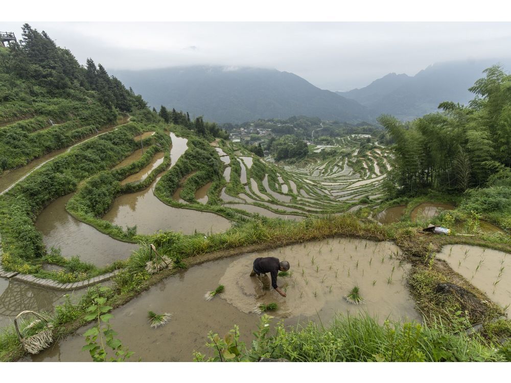 Extreme Weather Poses Risks for Chinese Crops, Power Over Summer