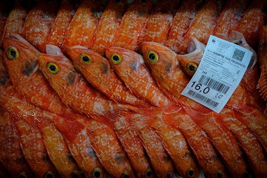 Fishing treaty fails at WTO, prompting US, Chinese concern