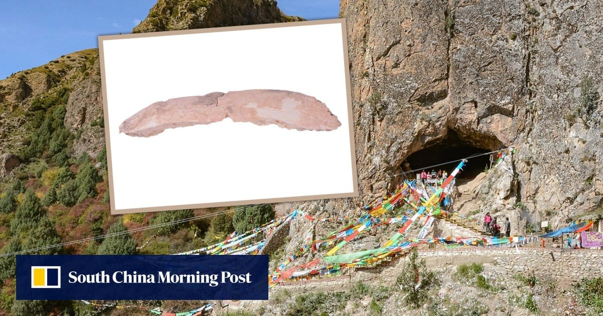Fossilised rib bone suggests mysterious Denisovans may have coexisted with ancient humans