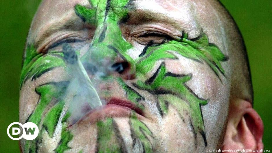 German cannabis clubs face jungle of bureaucracy