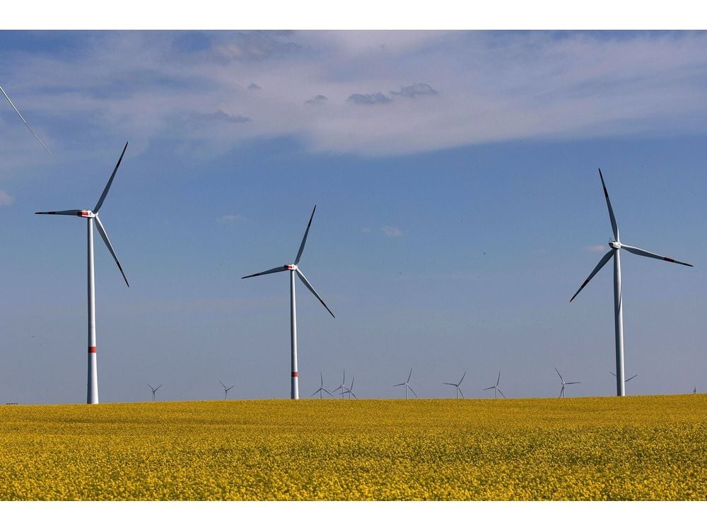 German Onshore Wind Auction Saw Participation at 7-Year High