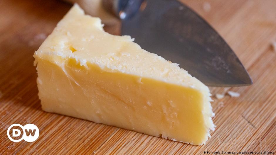 Germany: Police officer fired for stealing 180 kg of cheddar