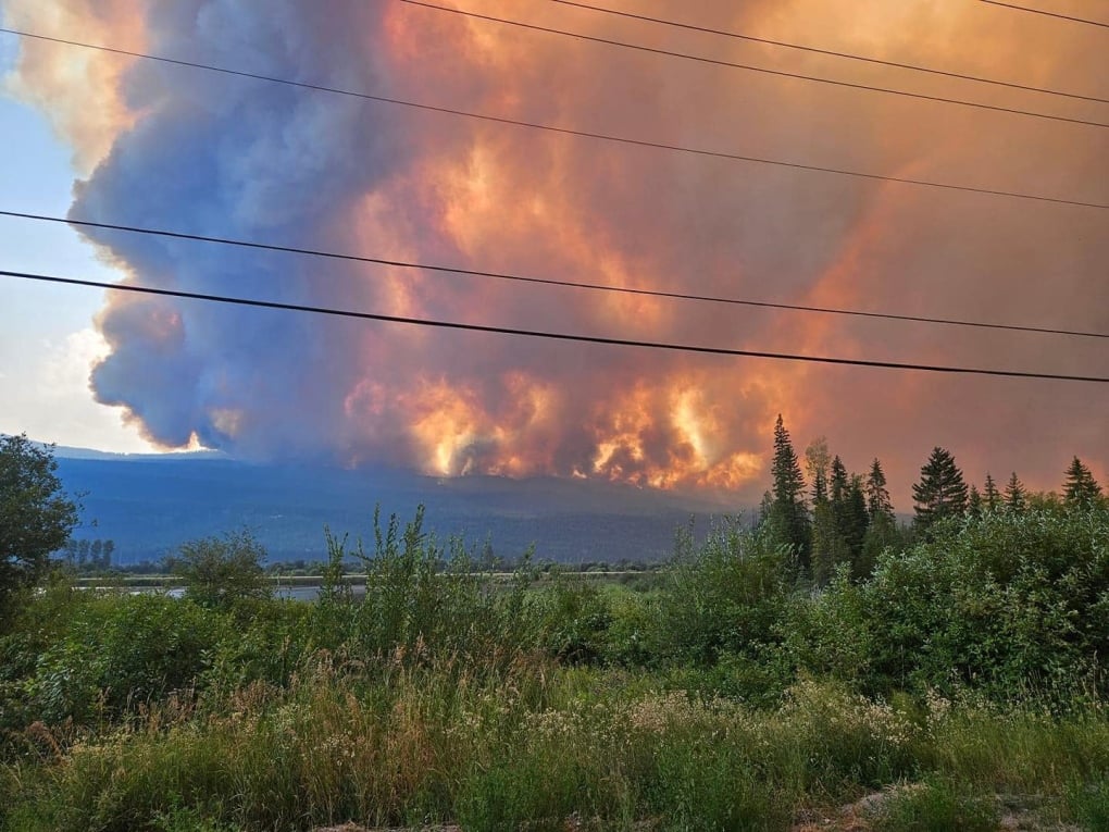 'Harrowing' 24 hours as wildfire burns homes near Golden, B.C.