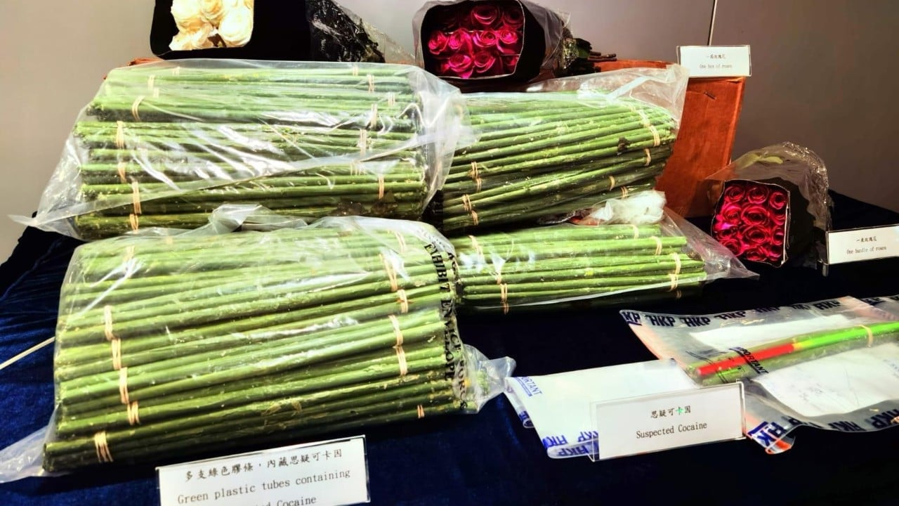 HK$33 million worth of cocaine found hidden in tubes disguised as rose stems in Hong Kong