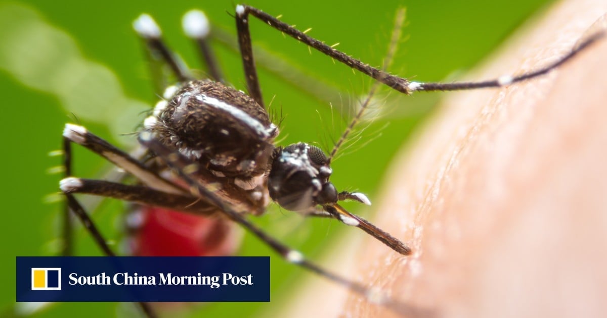 Hong Kong logs 37 dengue cases including 3 local infections