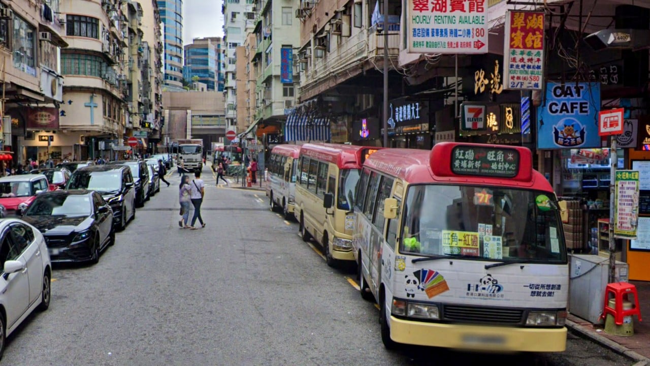 Hong Kong police arrest boy, 13, and man, 19, over theft of minibus