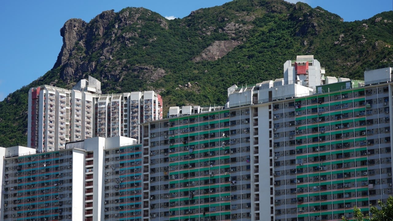Hong Kong real estate experts say housing balance needs shifting in favour of private sector