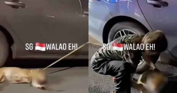 Horrific viral video of dog dragged by car might not be from Singapore, netizens furious at the mislabel