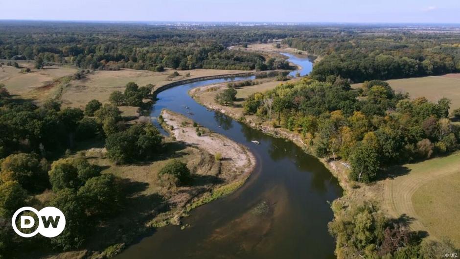 How restoring river landscapes can keep flash floods in check