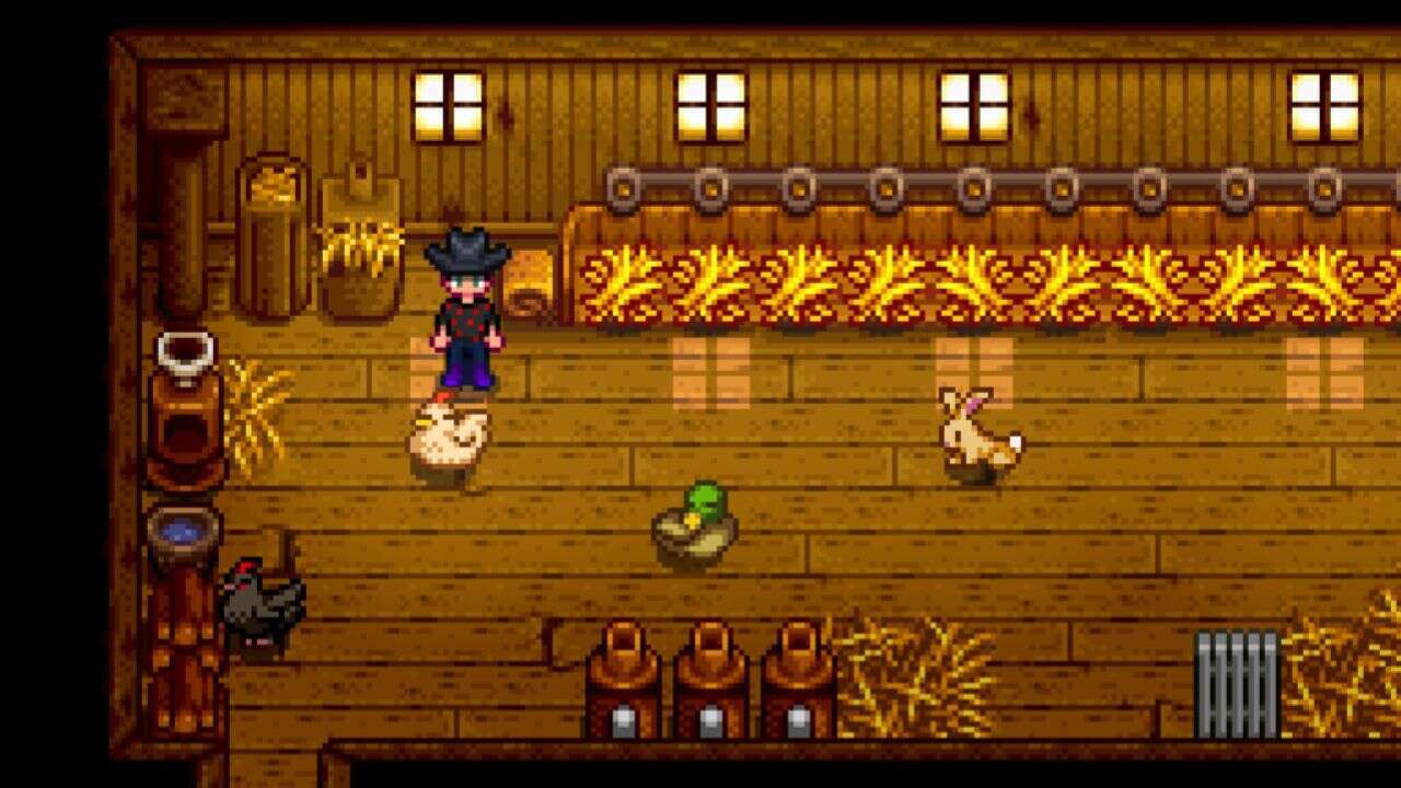 How To Feed Chickens In Stardew Valley