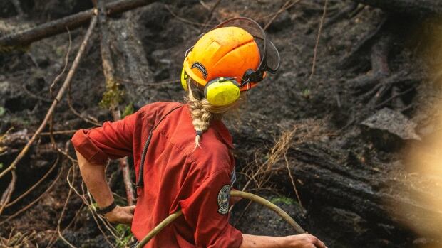 Hundreds under evacuation order in B.C. as wildfires grow