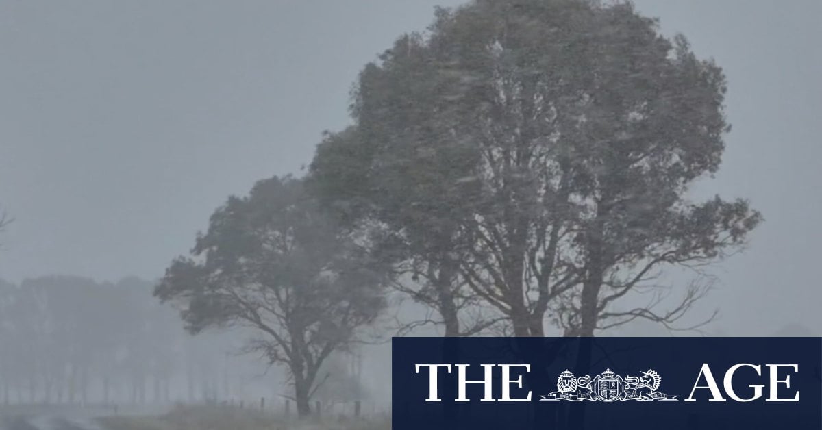 Icy temperatures, winds lash Queensland