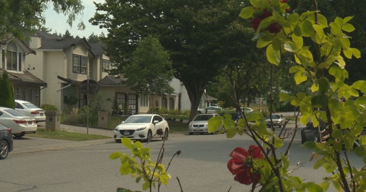 Intruder sexually assaults woman in her own home: Surrey RCMP