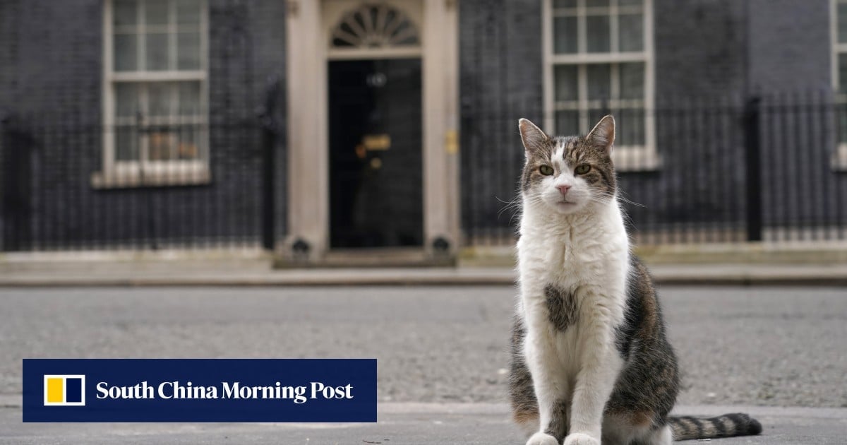 Larry the cat is training yet another UK prime minister in Downing Street