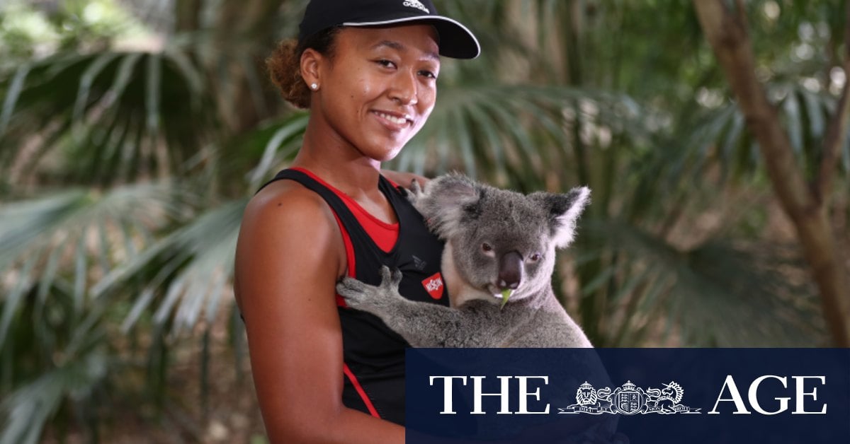 Lone Pine sanctuary in Brisbane bans koala cuddles