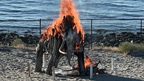 Man arrested after B.C. mammoth statue set ablaze