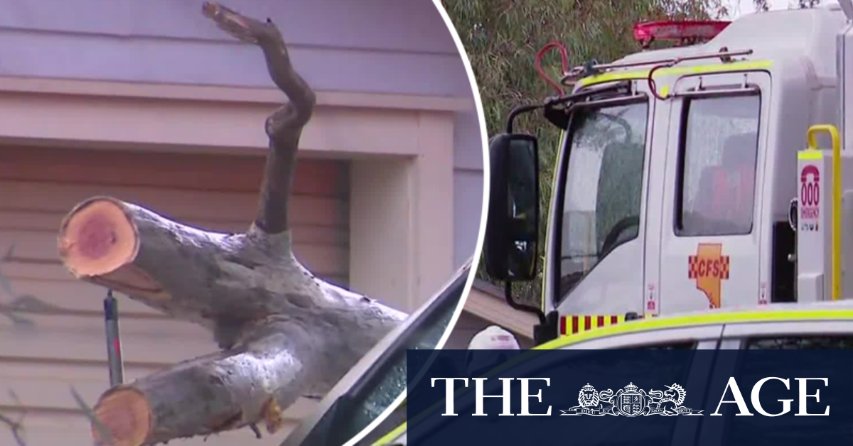 Man seriously injured after massive tree branch falls