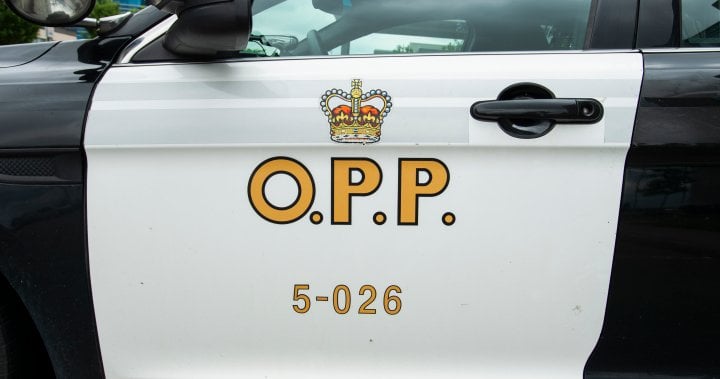 Man wanted on Canada-wide warrant could be in Toronto, Ottawa, or Barrie: OPP