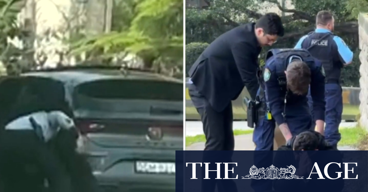 Men charged after firearms ordeal in Sydney suburb