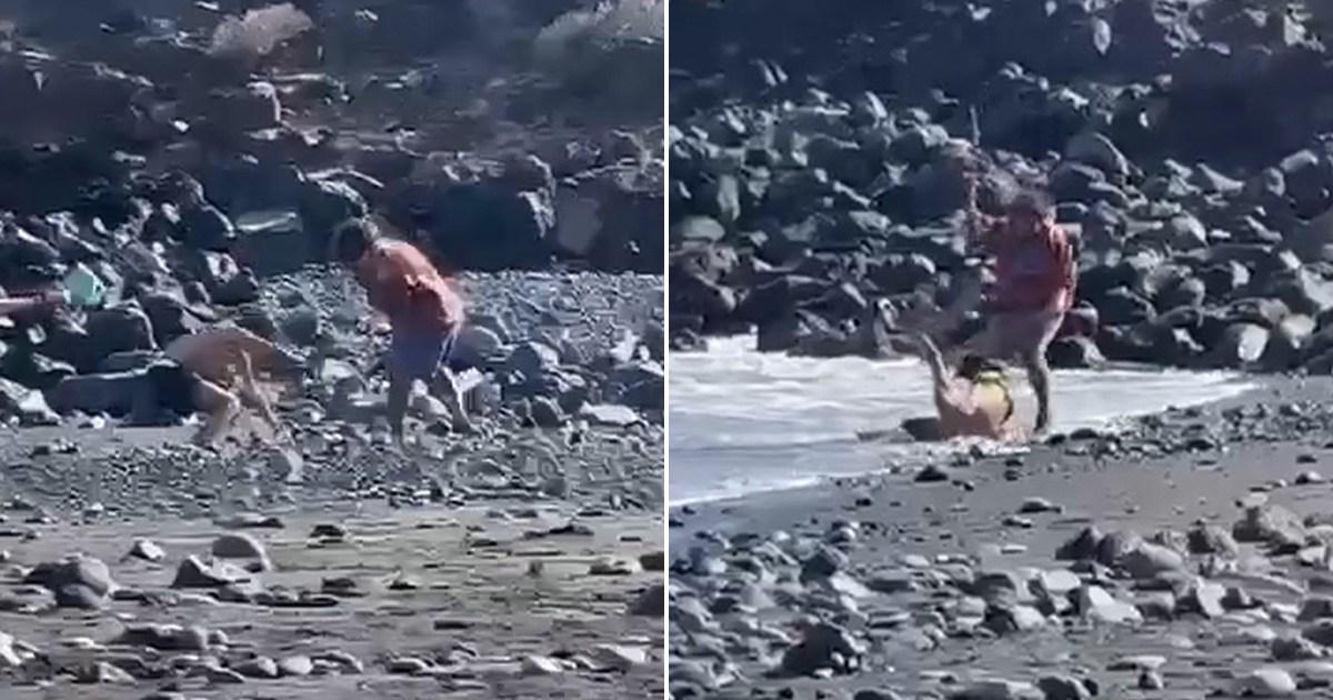 Moment man is battered by pole and left injured at popular beach spot