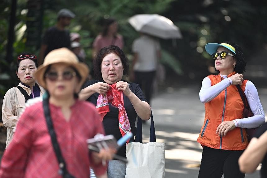 More hot spots detected as dry season hits southern Asean region