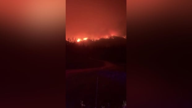 More than 200 fires burning in B.C., more to come: officials