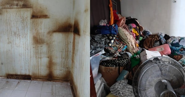 Mouldy walls, pungent smell: Volunteers clean up 'uninhabitable' Boon Lay flat that housed 47 cats