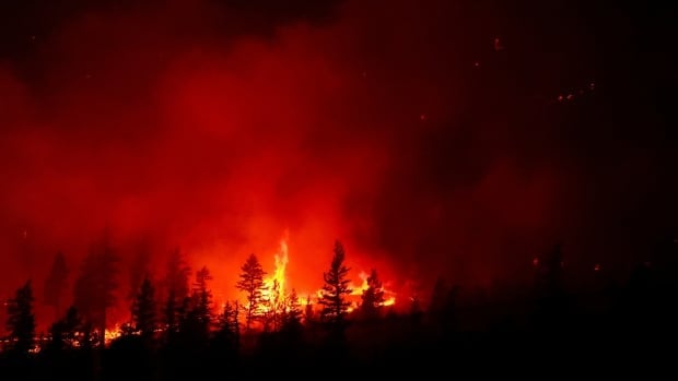 New evacuation orders throughout B.C. as heat wave fans wildfires