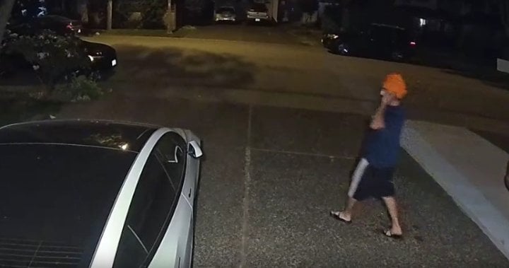 New video released of person of interest in reported stranger sexual assault in Surrey