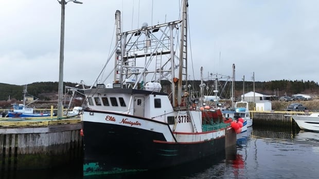 'Nothing short of a miracle': Missing N.L. fishing crew found safe and is returning home