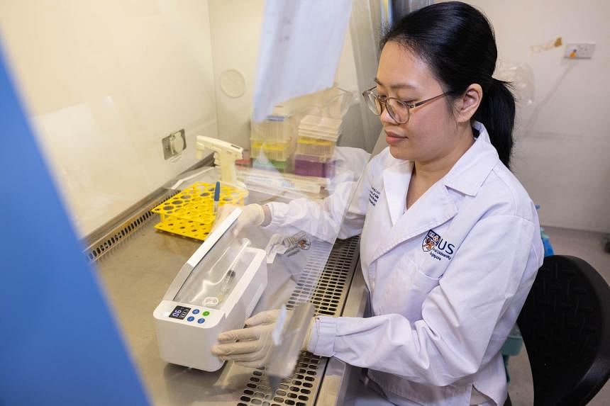 NUS Medicine team aims to start clinical trial of targeted therapy for deadly brain cancer in 2025 