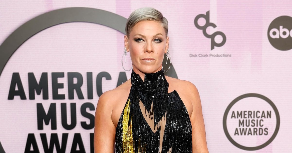 Pink Apologizes for Abruptly Canceling Concert: 'I'm Unable to Continue'