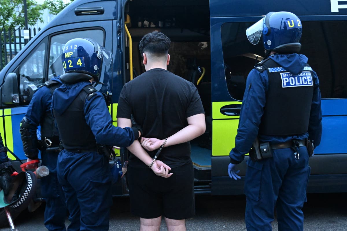 Police bust suspected mobile phone snatch gang in dawn raids across London 