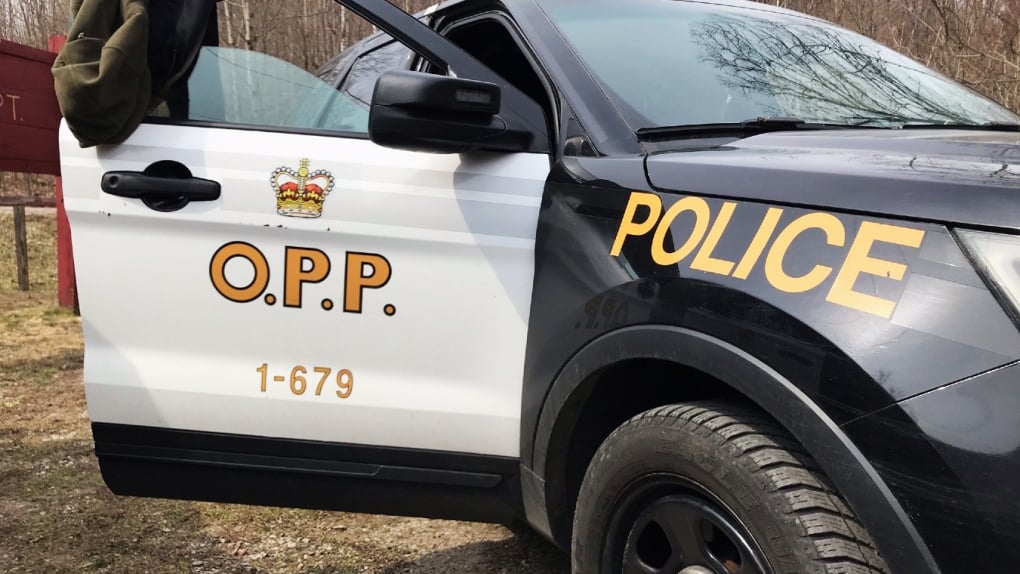 Police say northern Ont. impaired driver stole a puppy and booze