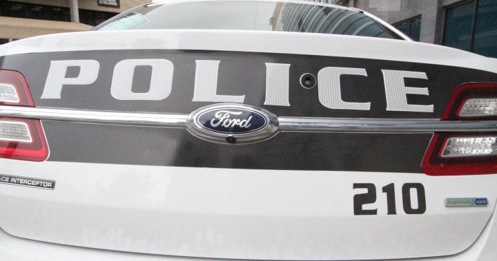Pot shop break-in leads Winnipeg cops to stolen vehicles