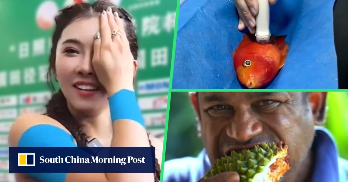 Quirky Asia news: top China athlete in makeup fail, fishy hospital visit, spiky snacks