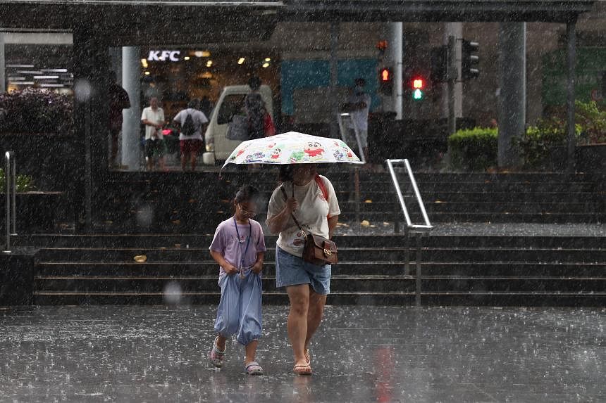 Rainy mornings, afternoons and some warm nights in Singapore in first half of July: Weatherman