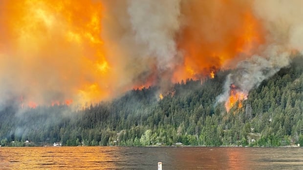 Red tape slowing wildfire recovery in B.C.'s Gun Lake: residents