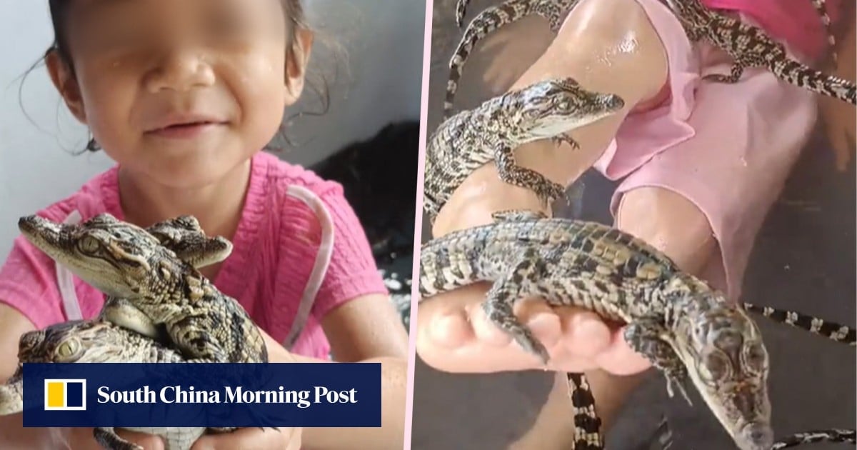 Reptile rage as Thai mother allows daughter, 4, to play in pool with 200 baby crocodiles