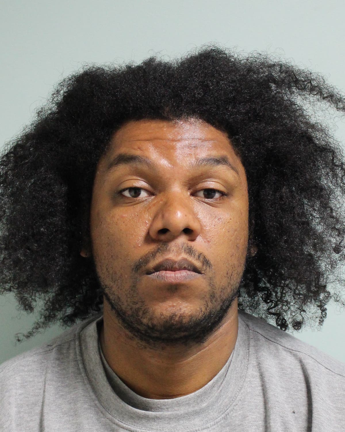 Serial sexual predator who attacked eight women in four days in London jailed for life 