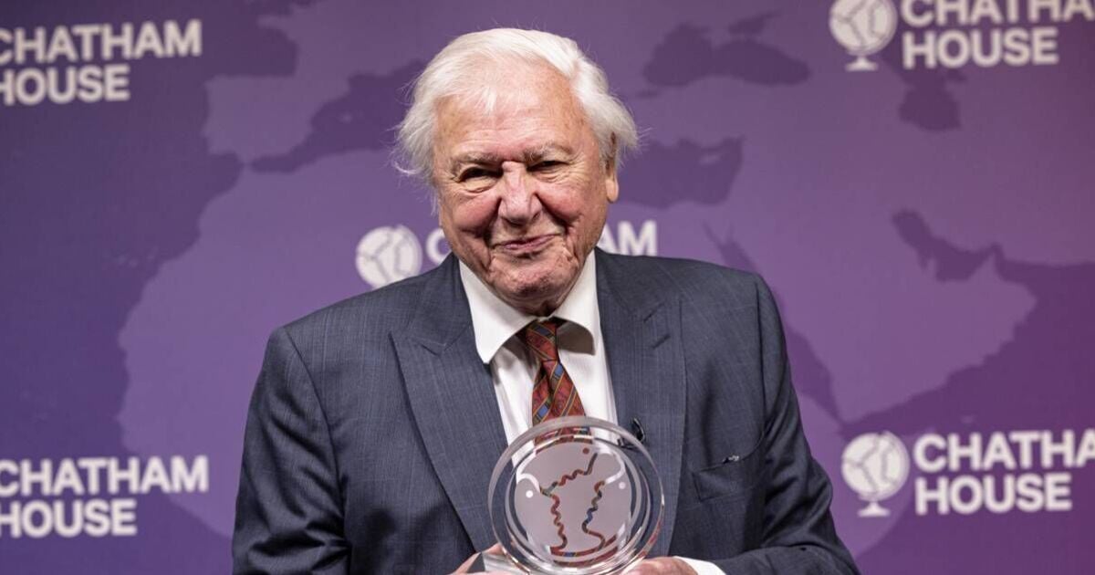 Sir David Attenborough to unveil ocean secrets in new National Geographic documentary