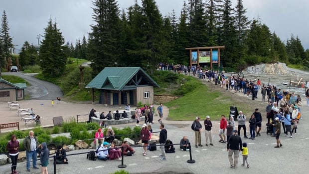 Stranded tourists frustrated after tram breakdown on North Vancouver's Grouse Mountain