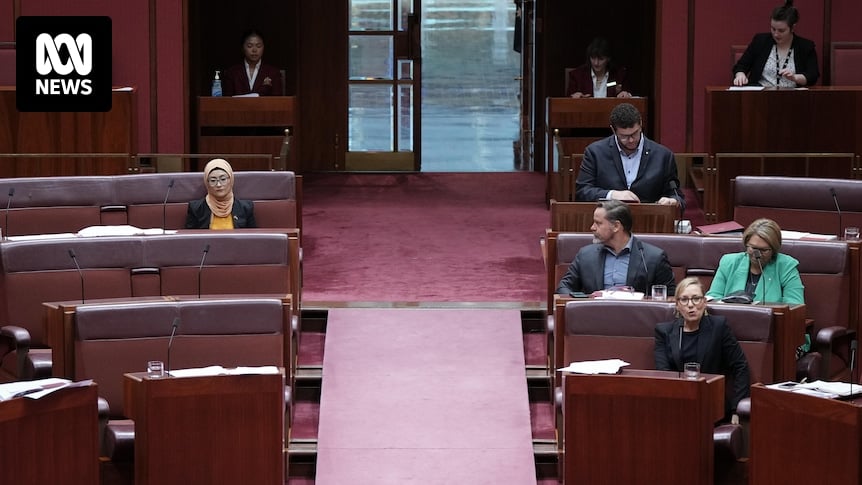 The tale of Fatima Payman twisted and turned this week, and left Labor down a number in the Senate