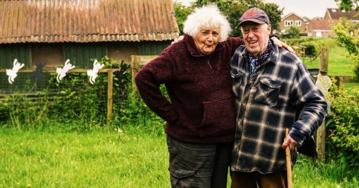 The Yorkshire Vet: How old are Mr and Mrs Green?